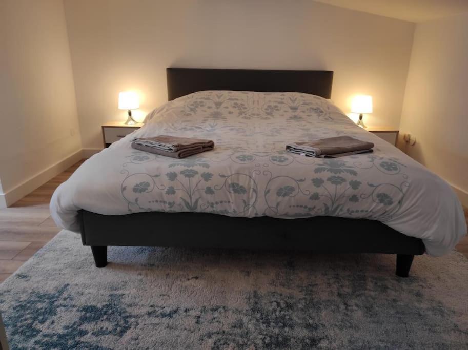 Holiday home T2 Duplex Plein Centre - Entier - Nouveau *